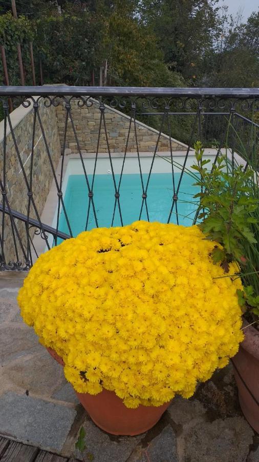 La Vigna Del Parroco Apartment Verduno ภายนอก รูปภาพ